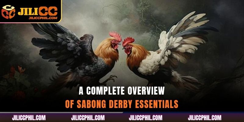 A Complete Overview of Sabong Derby Essentials