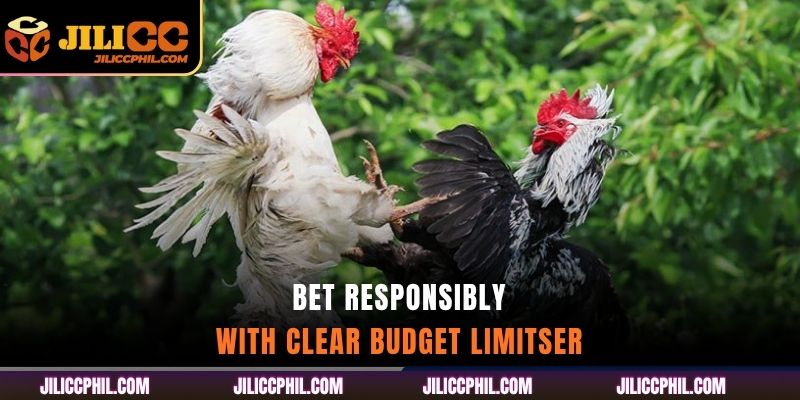 Bet Responsibly with Clear Budget Limits