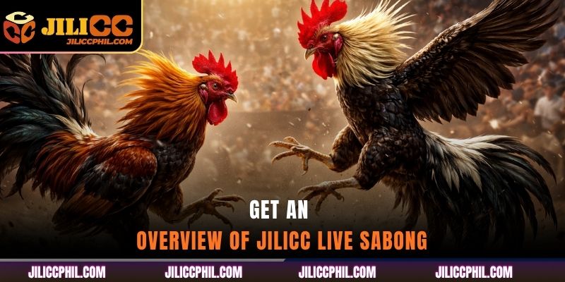 Get an overview of jilicc Live Sabong