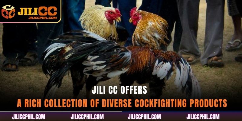 jili cc offers a rich collection of diverse cockfighting products
