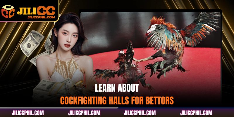 Learn about cockfighting halls for bettors