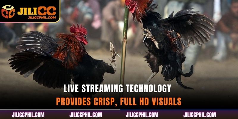 Live Streaming Technology provides crisp, full HD visuals