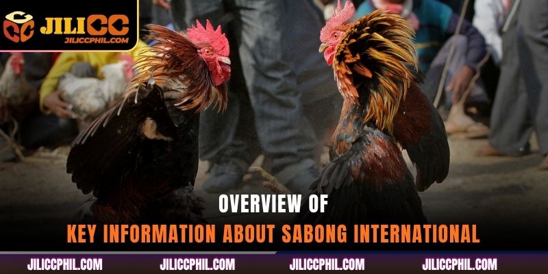 Overview of Key Information About Sabong International