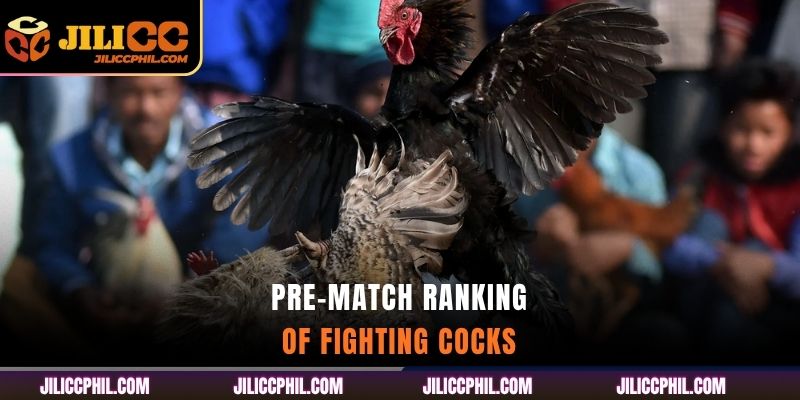 Pre-Match Ranking of Fighting Cocks