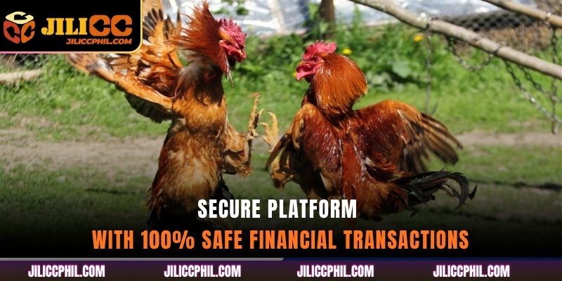 Secure Platform with 100% Safe Financial Transactions