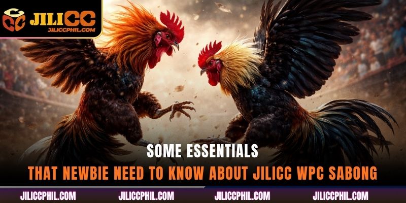 Some essentials that newbie need to know about jilicc WPC Sabong