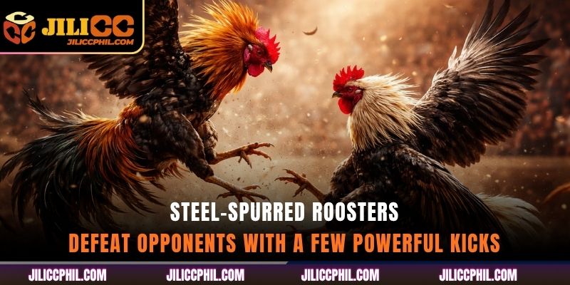 Steel-spurred roosters - Defeat opponents with a few powerful kicks